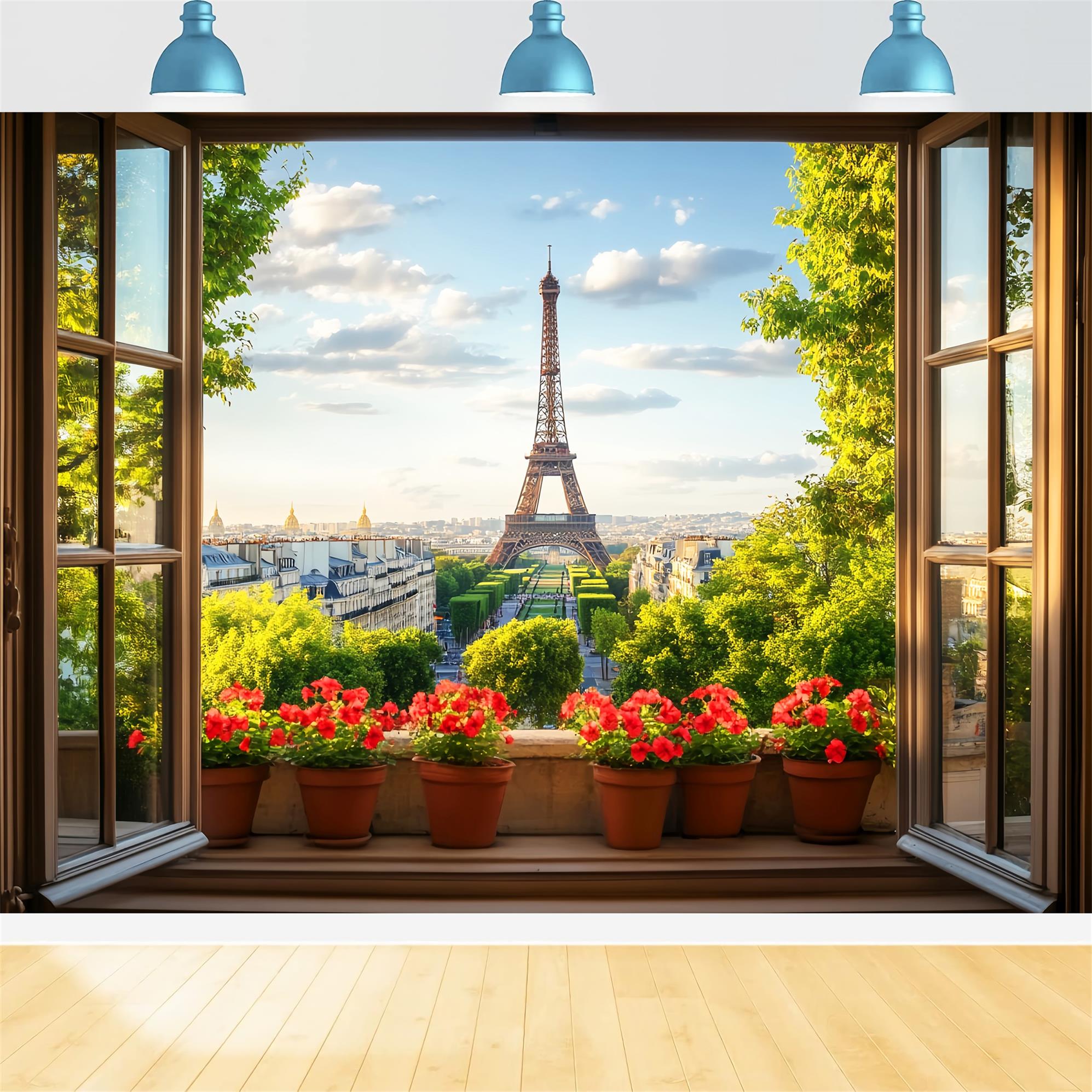 Paris-Hintergründe Fensterblick Rote Blumen Eiffelturm Paris-Fotohintergrundideen LXX59-71