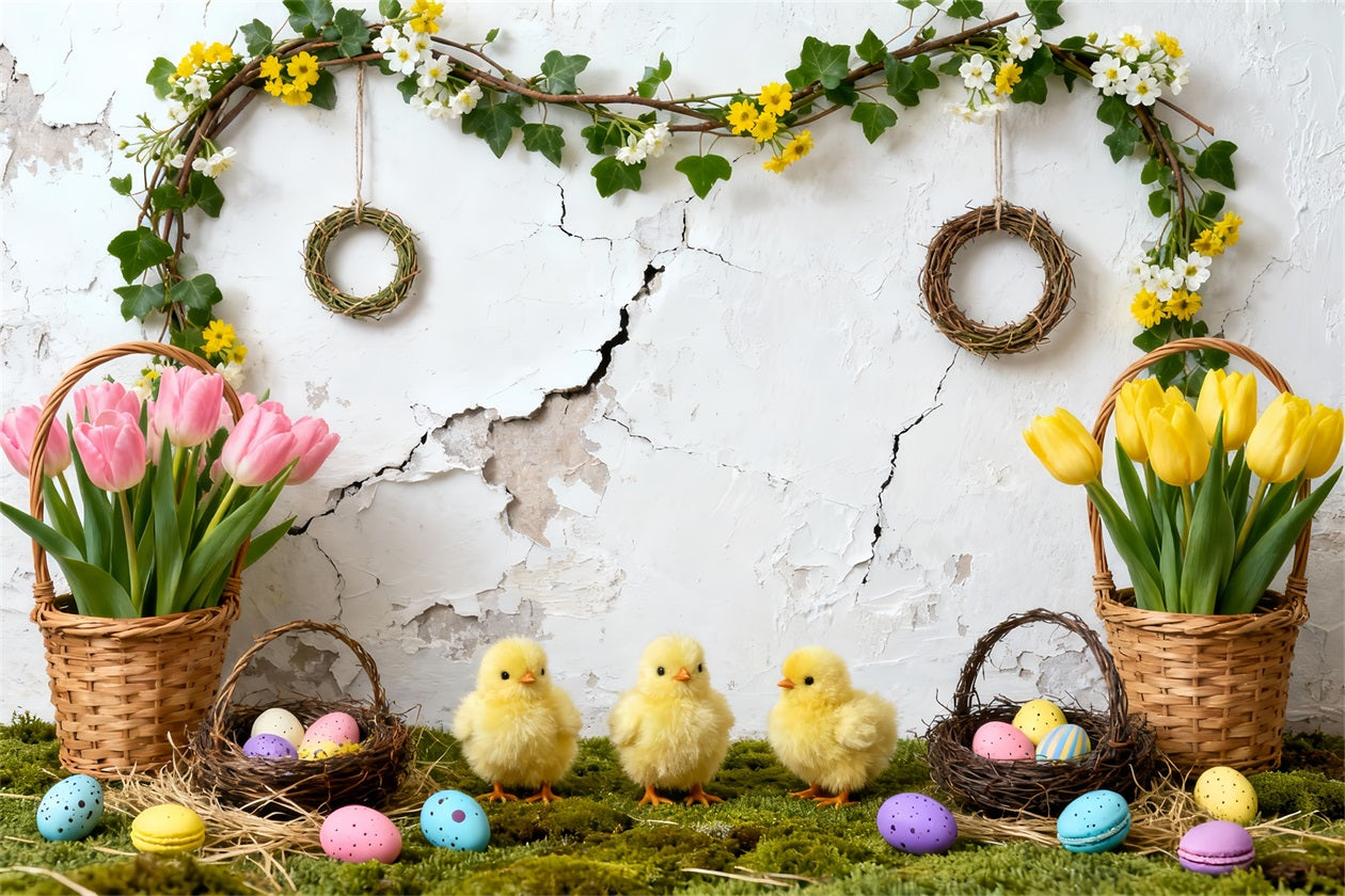 Hintergrund mit Osterküken, Tulpen, Eiern, Körben und Kranz für Ostern LXX61-119