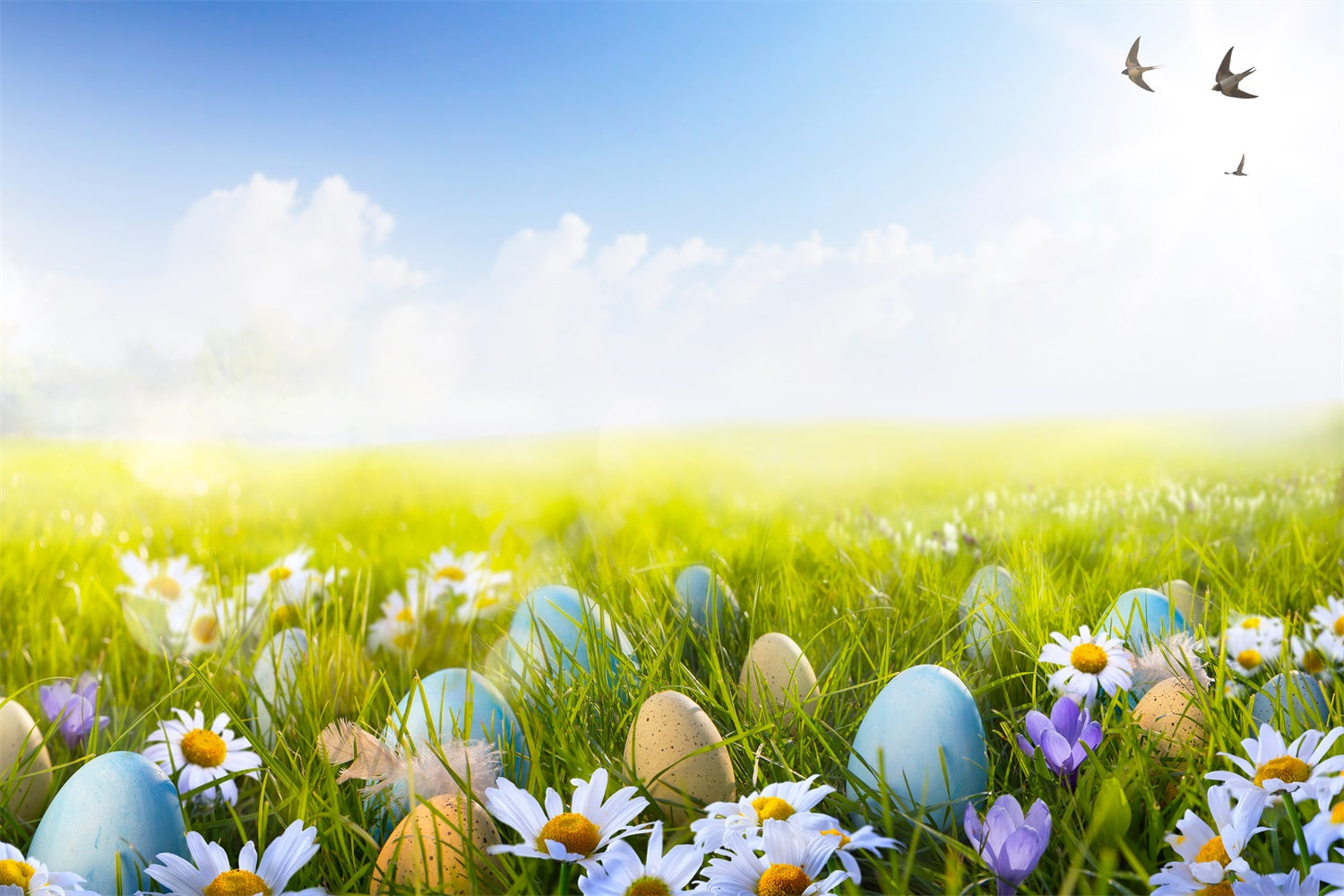 Ostern Blauer Himmel Weiße Wolken Schwalbeneier Grünes Gras Hintergrund M1-57