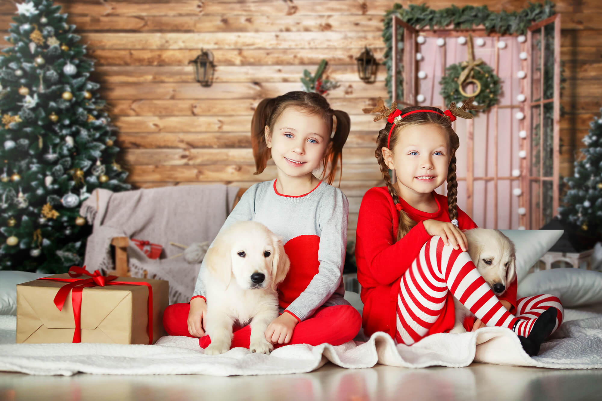 Weihnachtsbaumgirlande Tür Haus Hintergrund M10-09