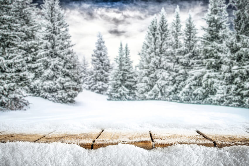 Winter Bergwald Schneelandschaft Hintergrund M10-44