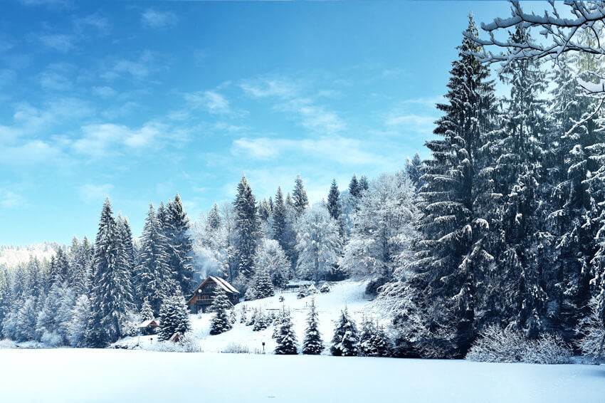 Winter Tannenbaum Wald Schneelandschaft Hintergrund M10-66