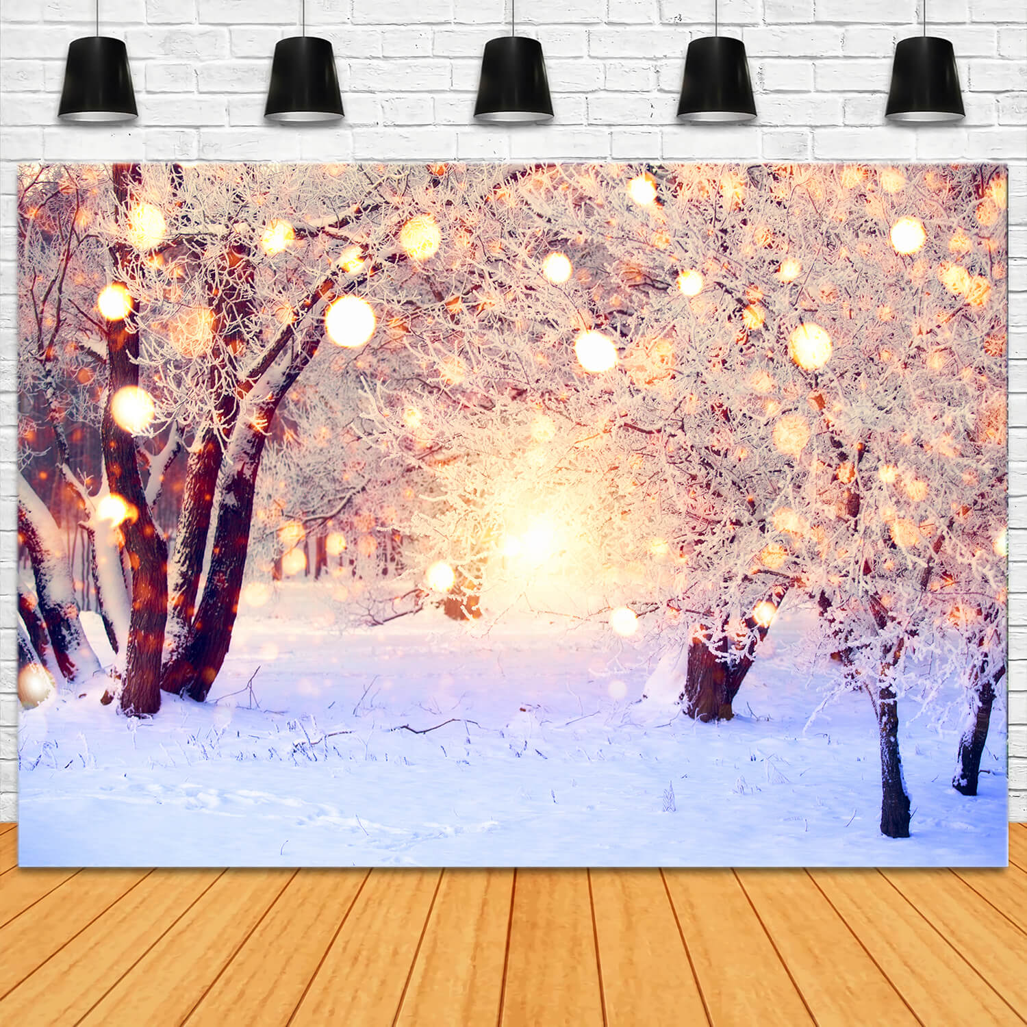 Winter Schnee Glitter Lichter Fotografie Hintergrund M10-71