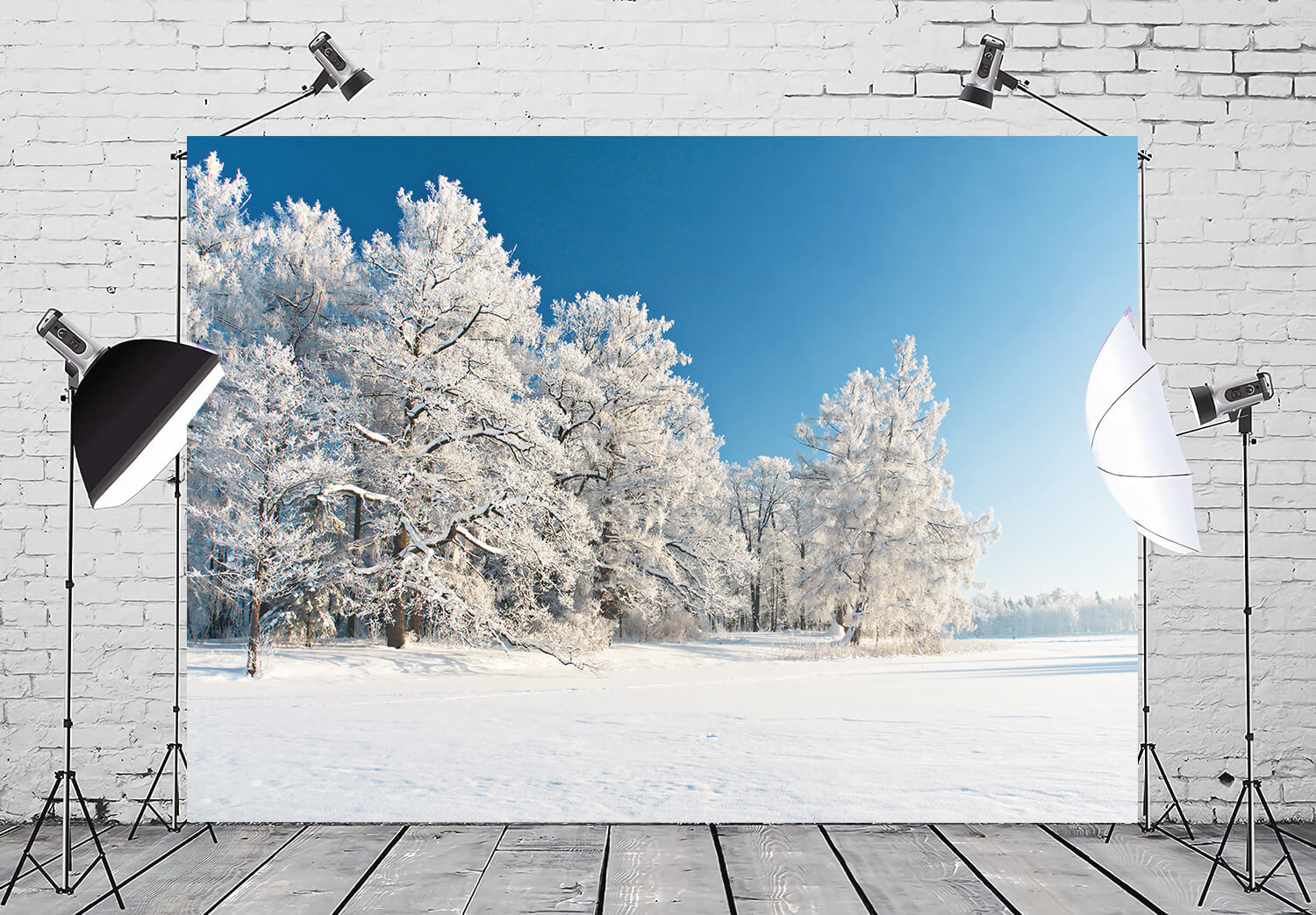 Schneebedeckter Winterwald Foto Hintergrund M10-74