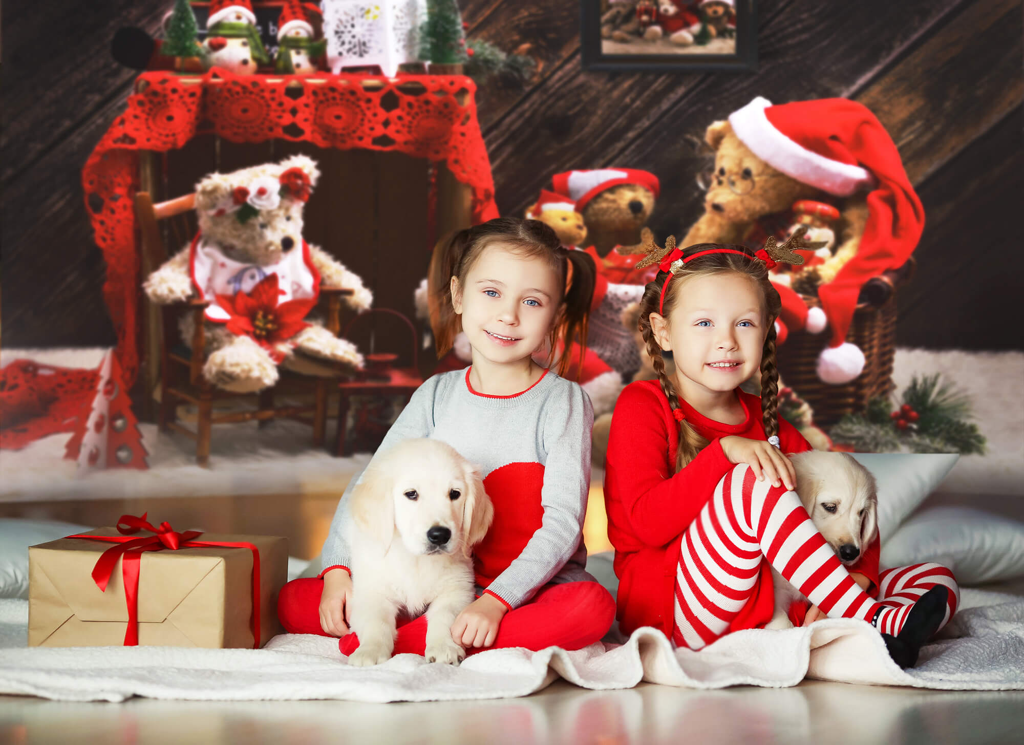 Weihnachten Teddybären Backdrop für Fotografie M11-08