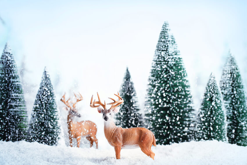 Winter Schnee Wald Elch Landschaft Hintergrund M11-13