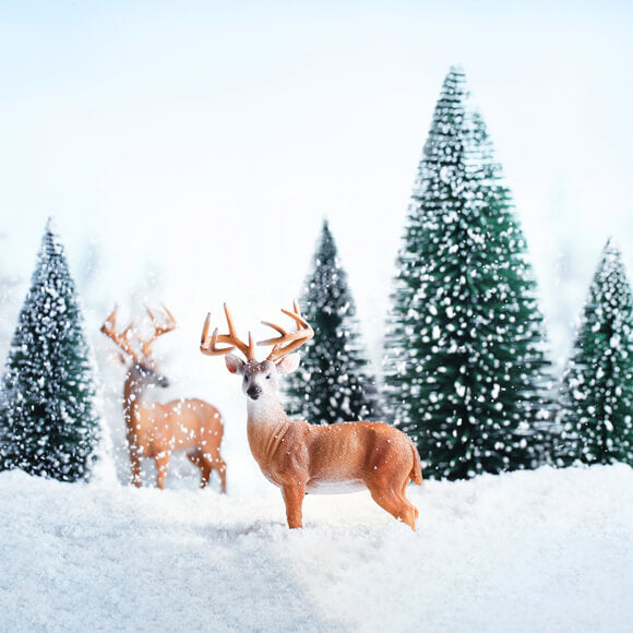 Winter Schnee Wald Elch Landschaft Hintergrund M11-13