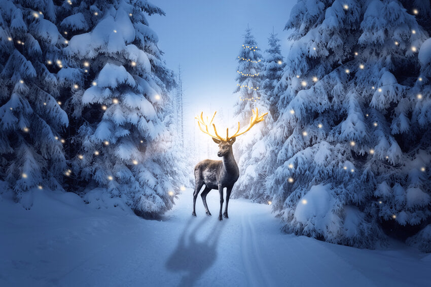 Winter Nacht verschneiten Wald Hirsche Hintergrund M11-15