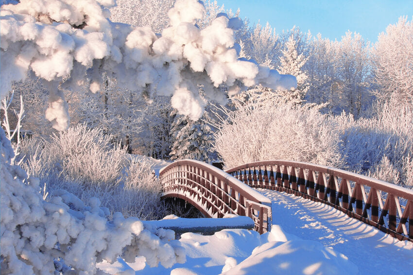 Winter Schnee Kiefer Wald Brücke Hintergrund M11-18