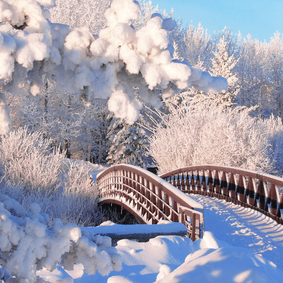 Winter Schnee Kiefer Wald Brücke Hintergrund M11-18