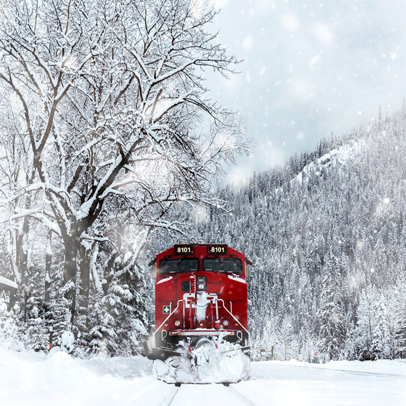 Winter Schnee bedeckt Wald Zug Hintergrund M11-30