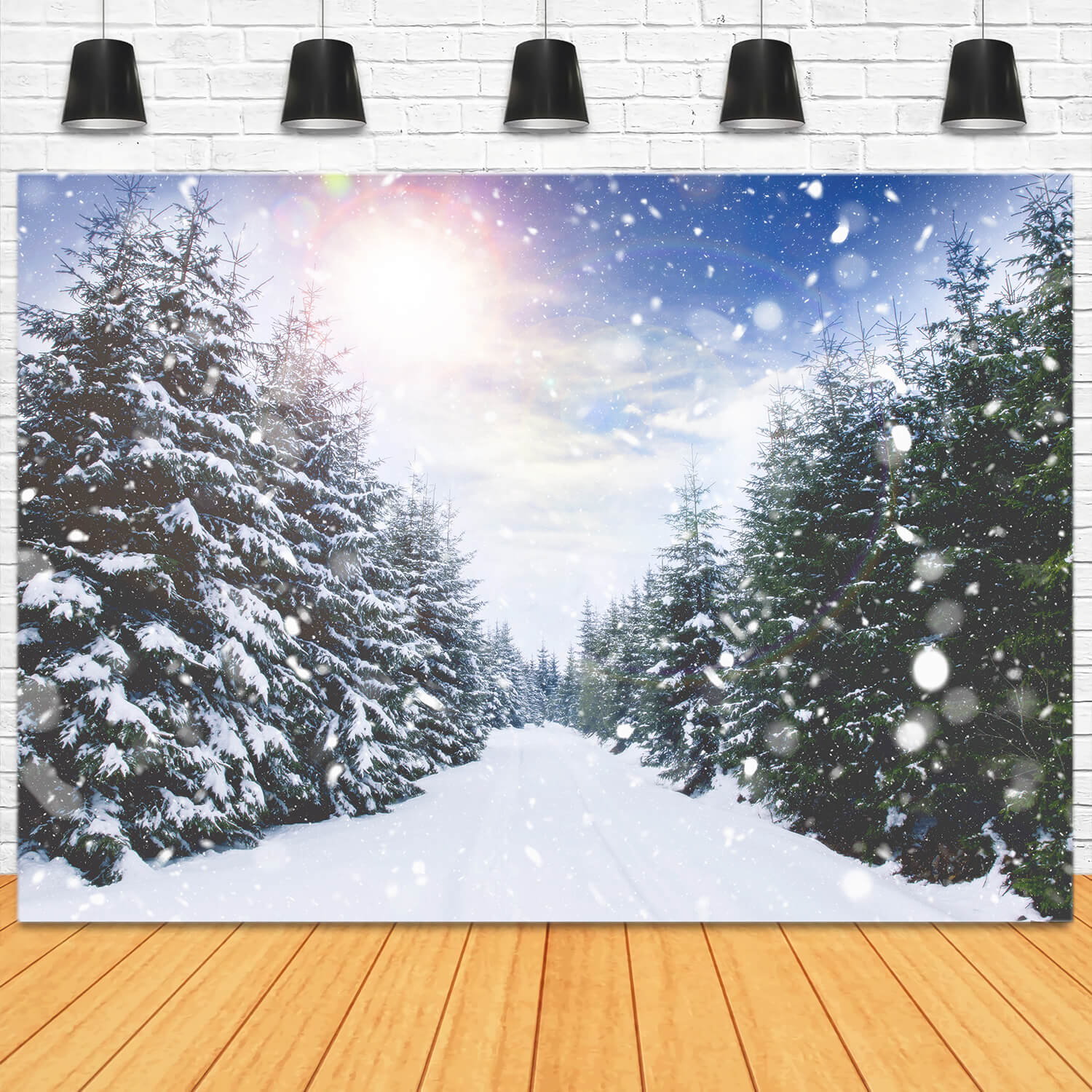 Winterwald Schneefall Sonnenlicht Landschaft Hintergrund M11-45