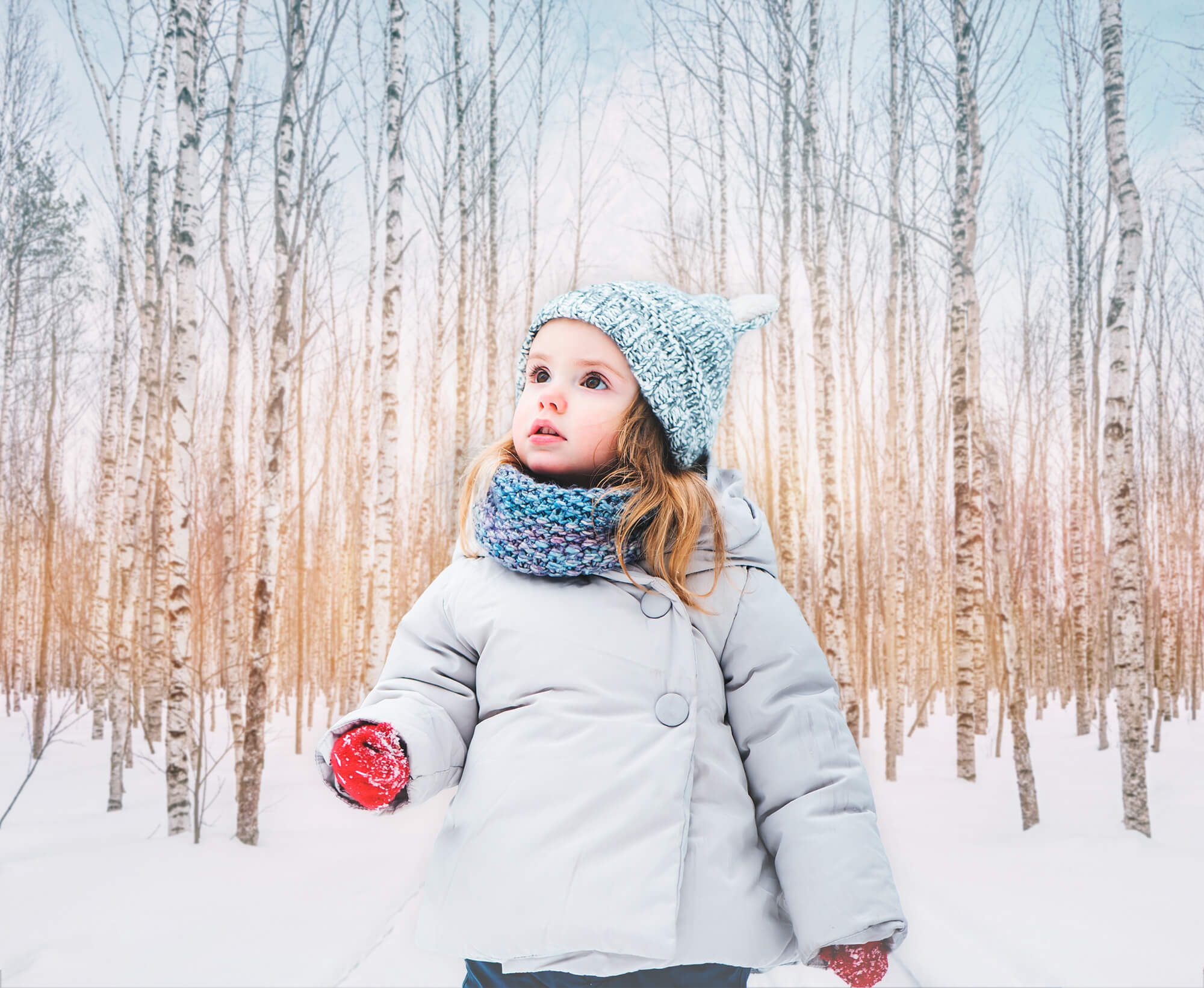 Winter verschneiter Wald Park Sonnenschein Hintergrund M11-47