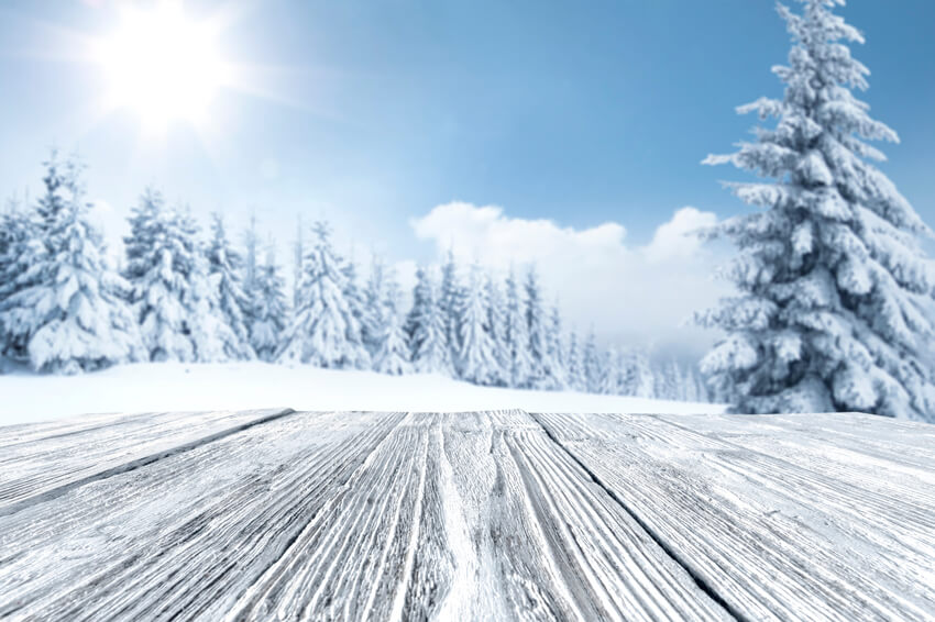 Winter verschneite Bäume Wald Landschaft Hintergrund M11-48