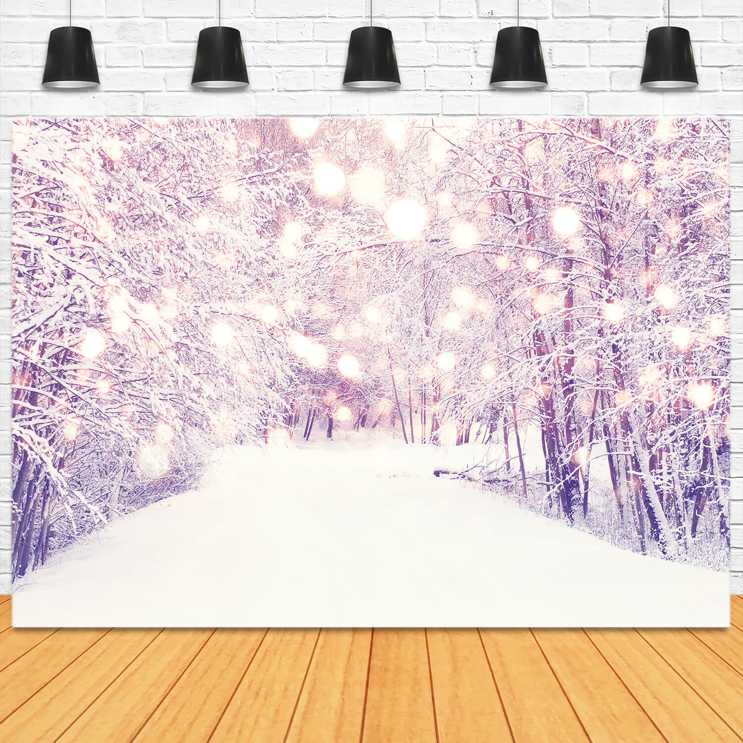 Winter Snowy Forest Path Landschaft Hintergrund M11-62