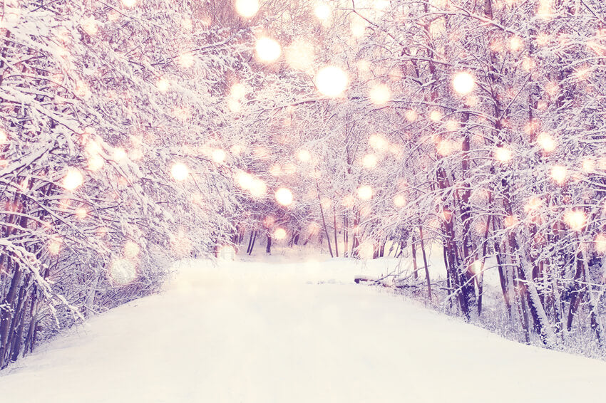 Winter Snowy Forest Path Landschaft Hintergrund M11-62