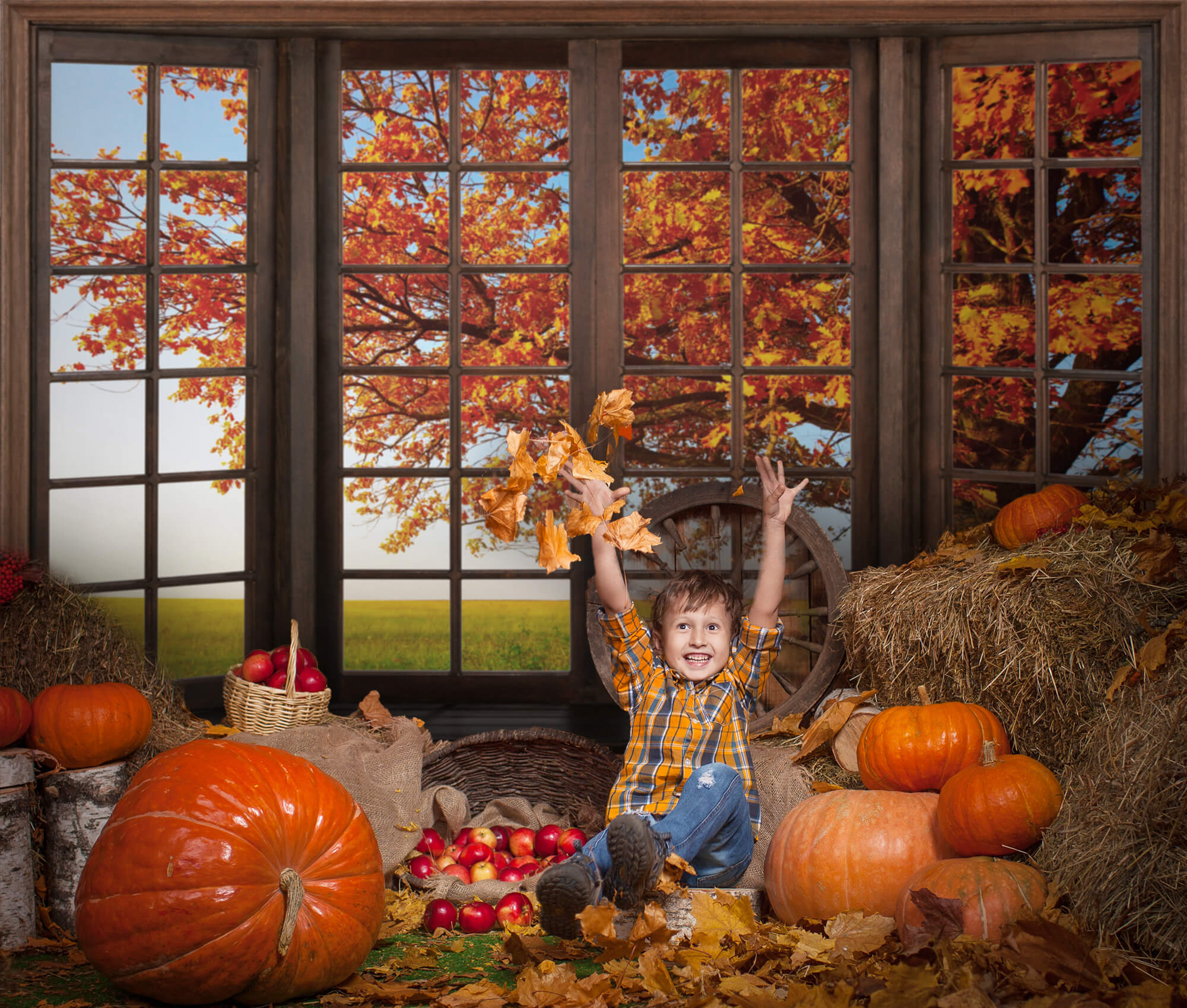 Herbstliche Ahornblätter Fensteransicht Hintergrund M6-40