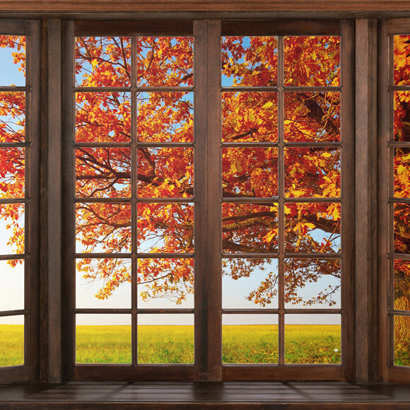 Herbstliche Ahornblätter Fensteransicht Hintergrund M6-40