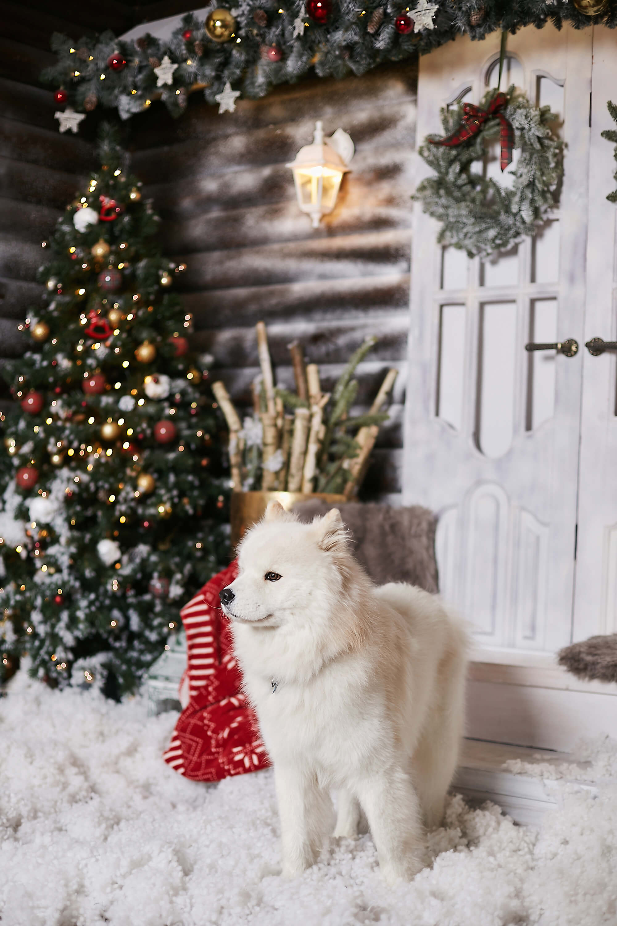 Weihnachten Home Dekoration Familie Innenhof Hintergrund M6-89