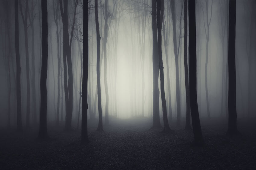 Halloween dunkel düstere Nacht Wald Hintergrund M8-10
