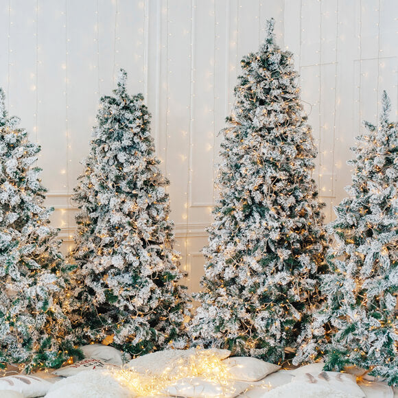 Glühender Weihnachtsbaum Fotostand-Hintergrund M9-16