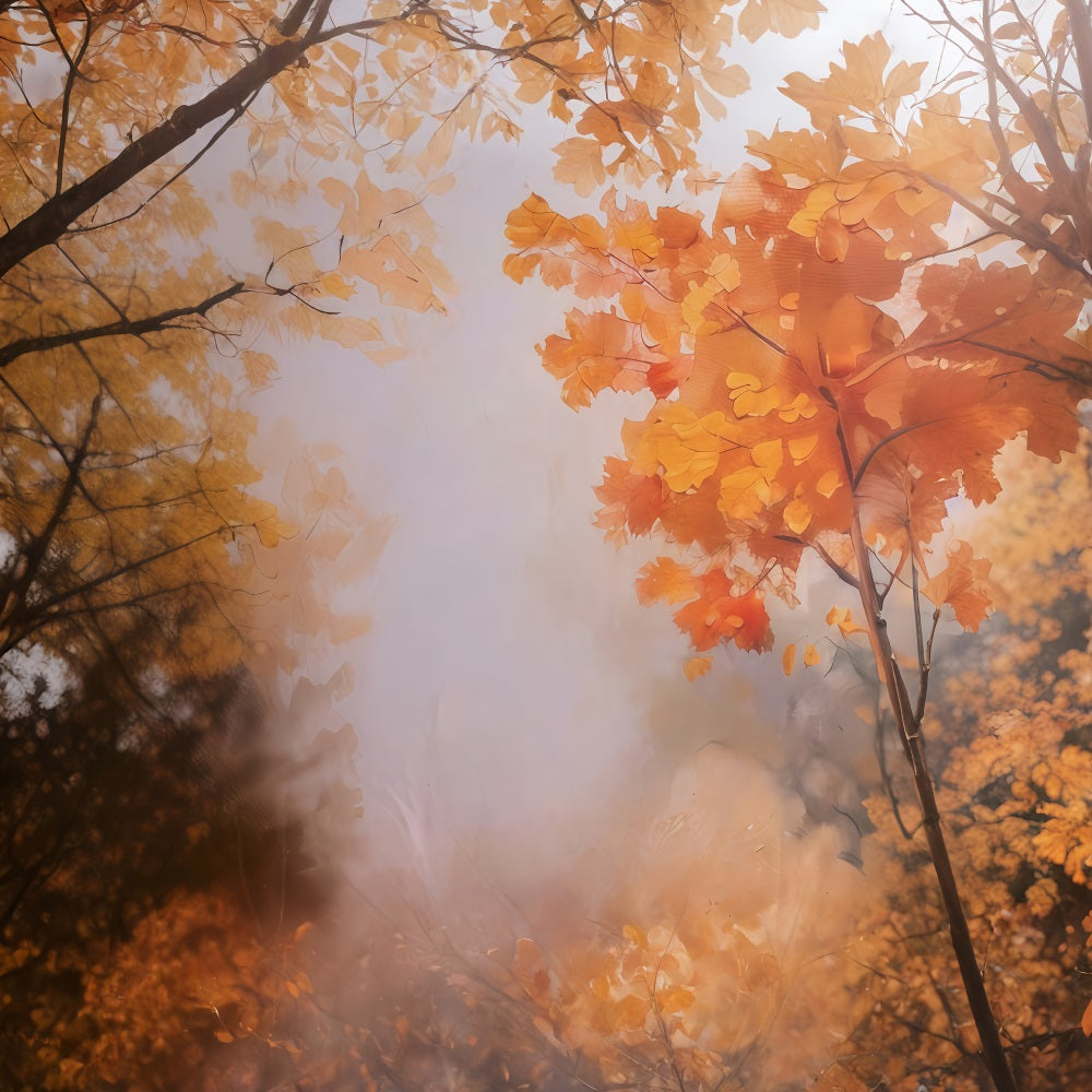 Herbst-Hintergrund Goldene Herbstblätter Herbst-Fotohintergrund MRR10-55