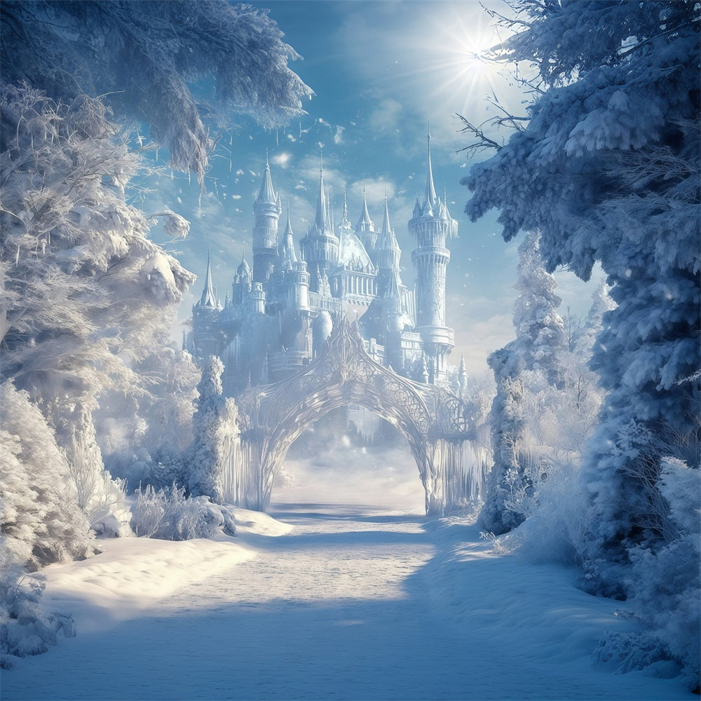 Winterschloss-Hintergrundkulisse Schneekönigreich-Pfad-Hintergrundkulisse MRR7-156