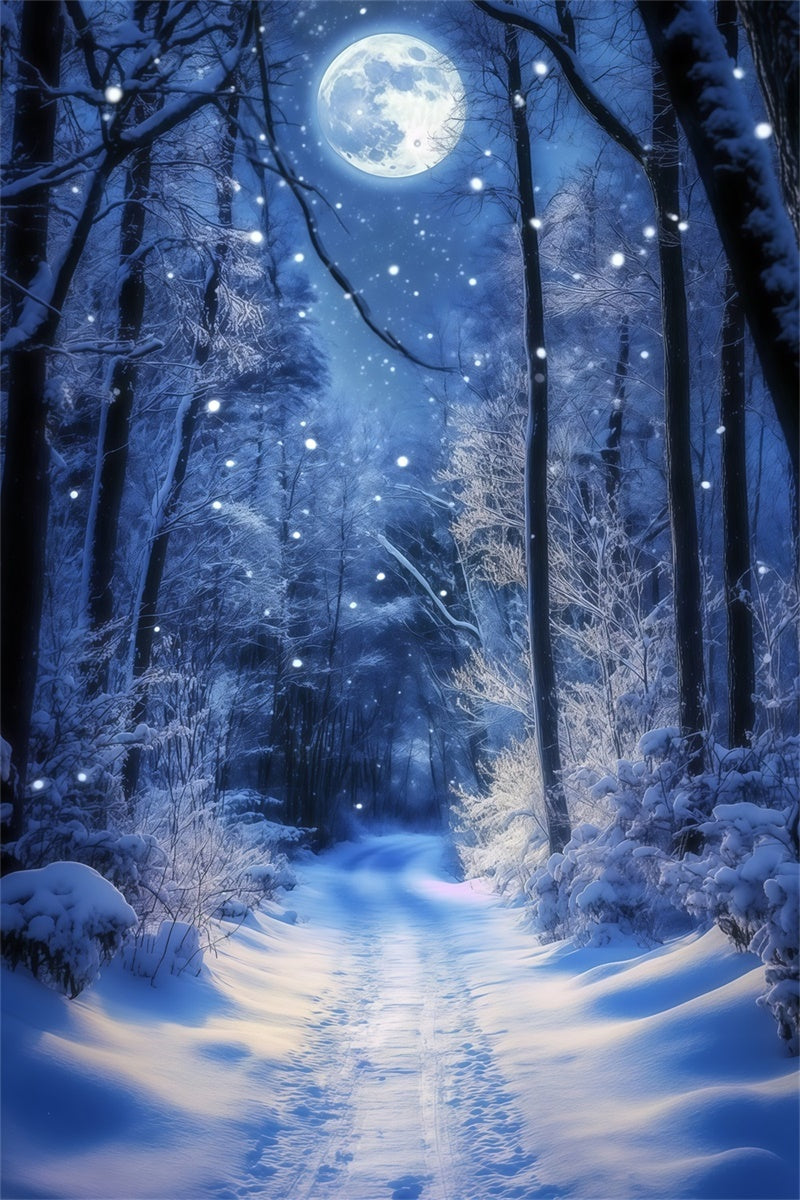 Winterwald-Hintergrundkulisse Glühender Mondpfad Hintergrundkulisse MRR7-180