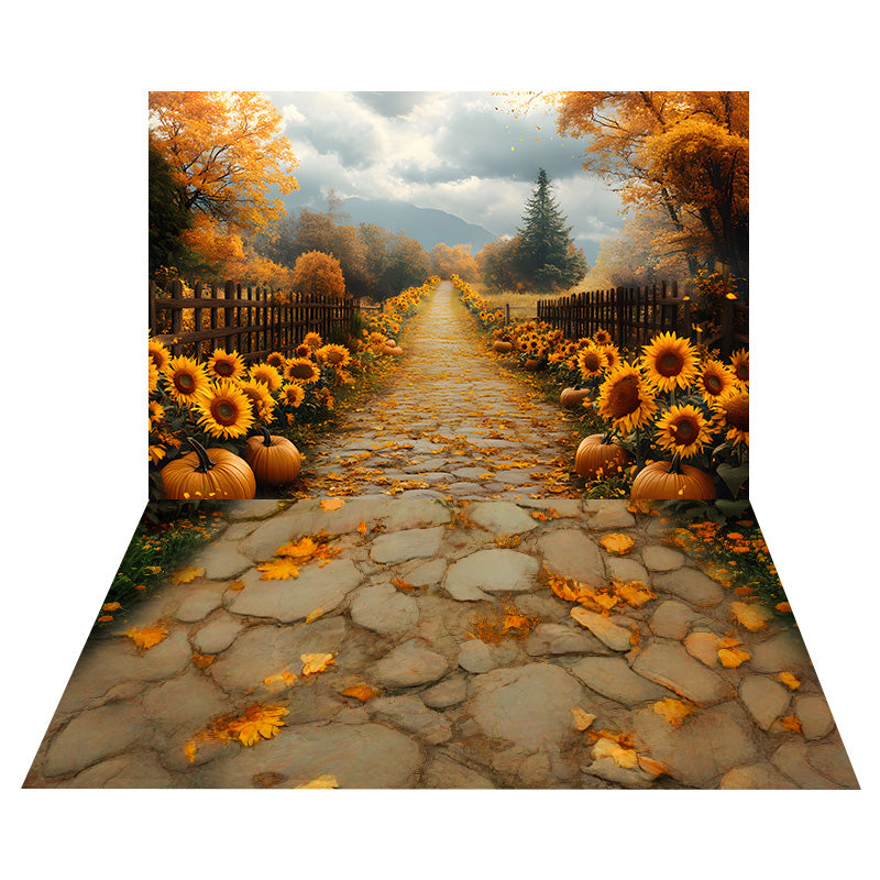 Sonnenblumen-Kürbisweg Foto Hintergrund + goldene Blütenblätter-SteinBoden Foto Hintergrund MRR8-158