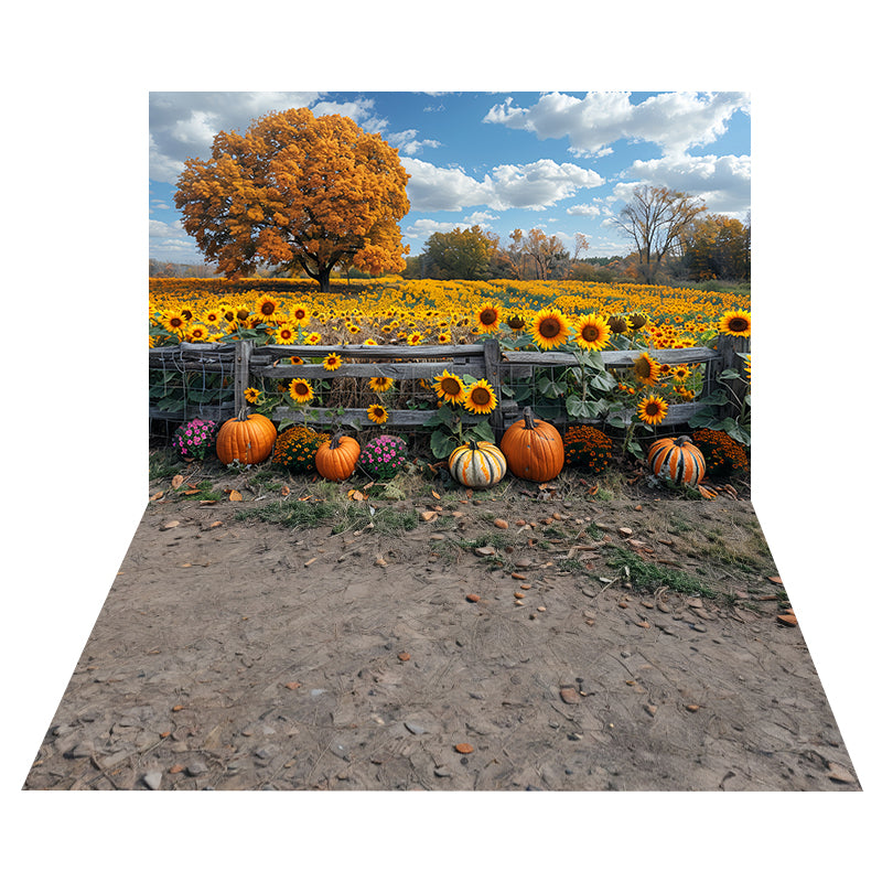 Foto Hintergrund mit Sonnenblumen-Kürbisfeld + felsiger Erdtextur-Boden Foto Hintergrund MRR8-161