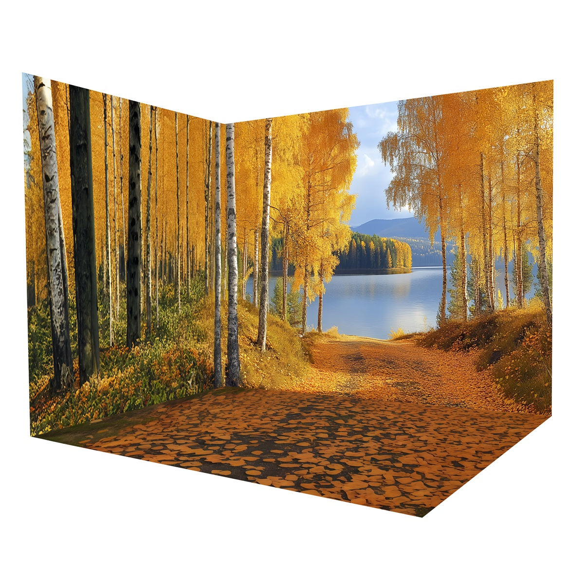 Herbstwald-Foto Hintergrund Goldener Birkenwald See-Weg-Foto Hintergrund Raumset MRR8-228