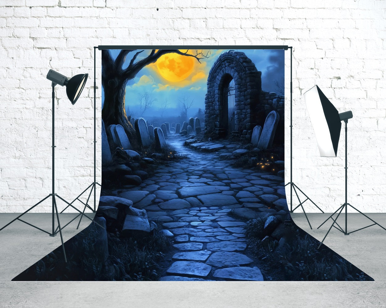 Halloweenfotokulisse Friedhof in mondheller Nacht Sweep Backdrop MRR8-48