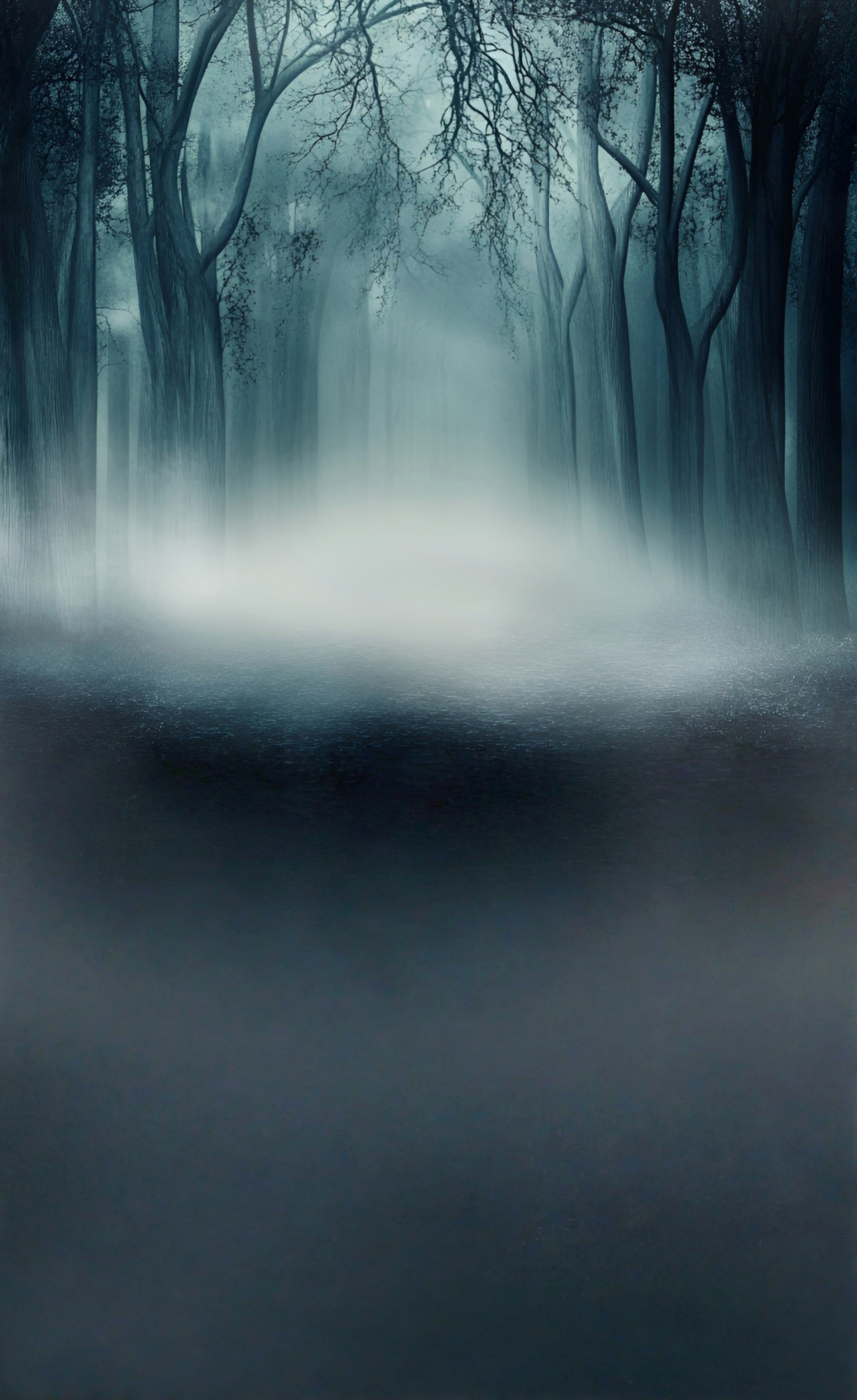 Gruselige Halloween Foto Hintergründe Nebliger Totholz Wald Sweep Hintergrund MRR8-60