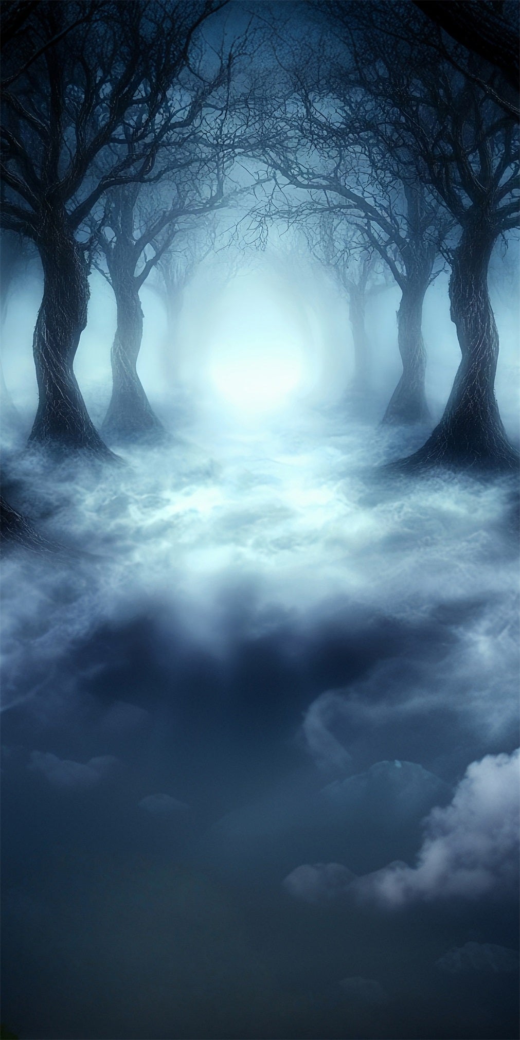 Halloween Fotohintergrund Gespenstischer Nebelschwarzwald Sweep Backdrop MRR8-66