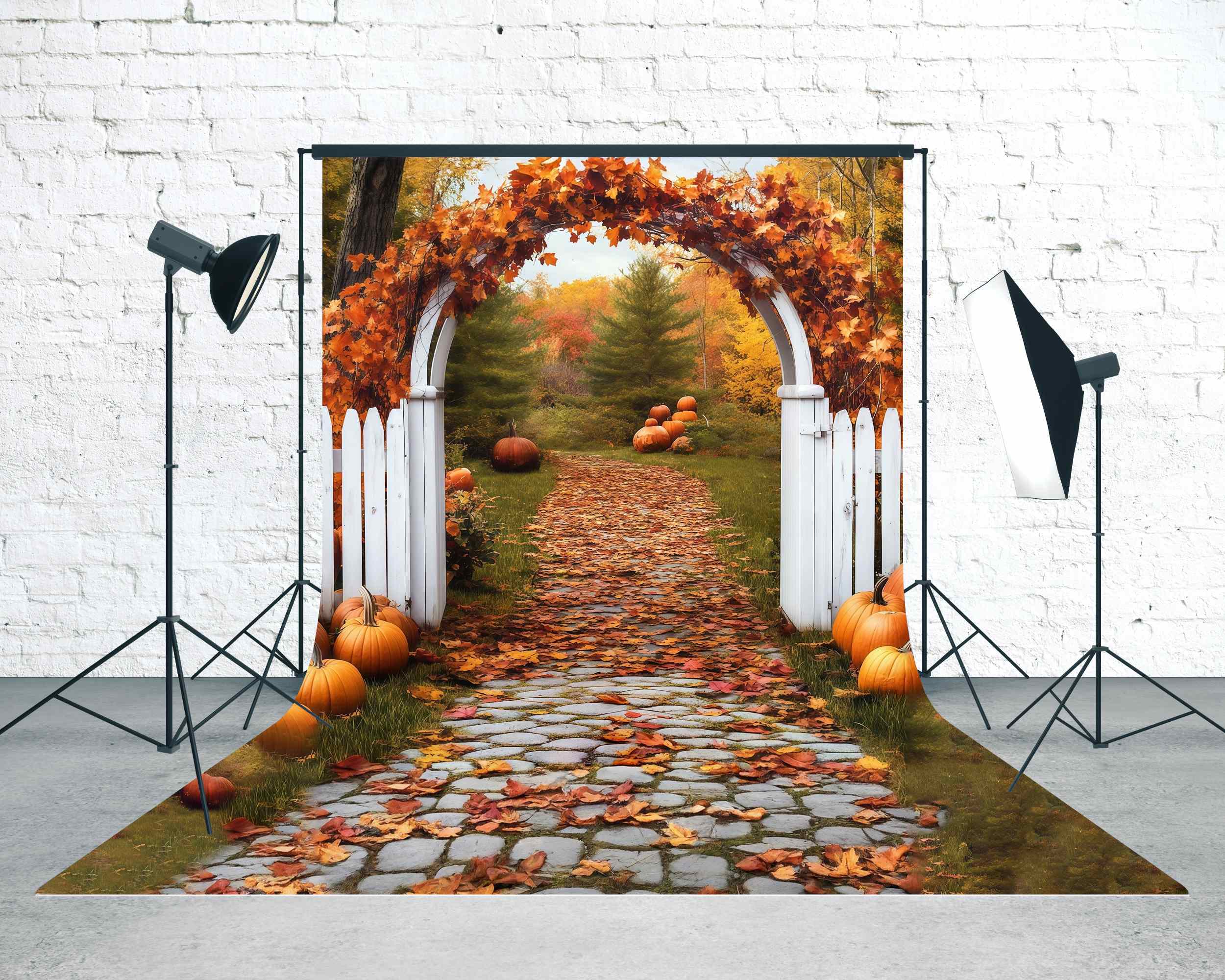 Herbstlaub-Fotohintergrund Herbsttor Torbogen Blätter Sweep-Fotohintergrund MRR8-73