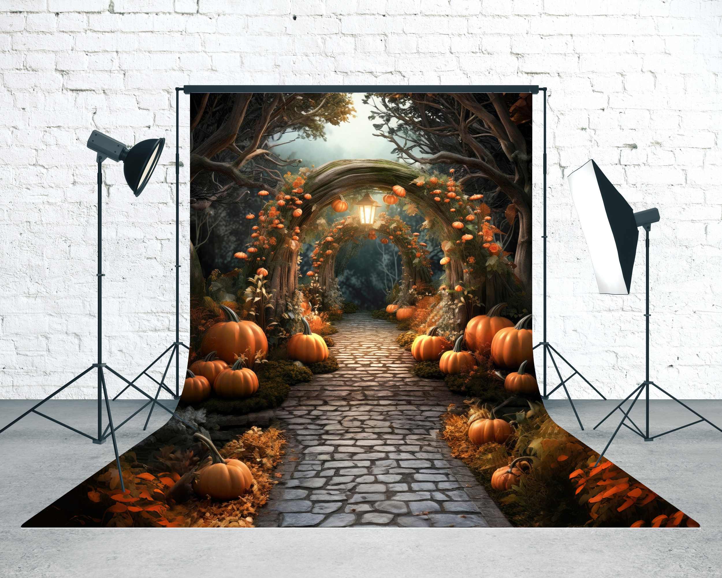 Herbstlaub-Fotohintergrund Verwunschener Kürbisbogen Pfad Sweep-Fotohintergrund MRR8-92