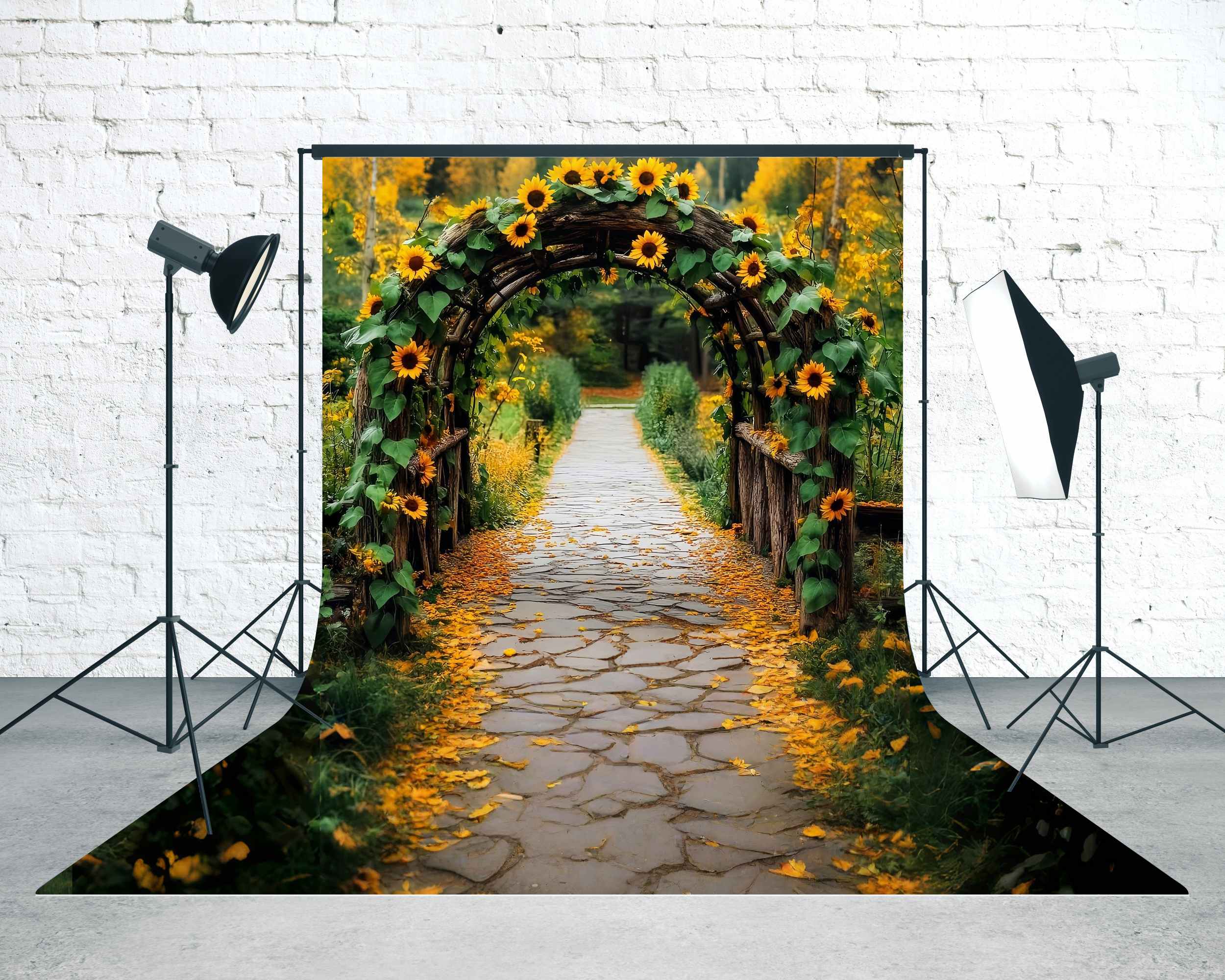 Herbst-FotoFotohintergrund Rustikaler Sonnenblumenbogen Pfad Sweep-Fotohintergrund MRR8-96
