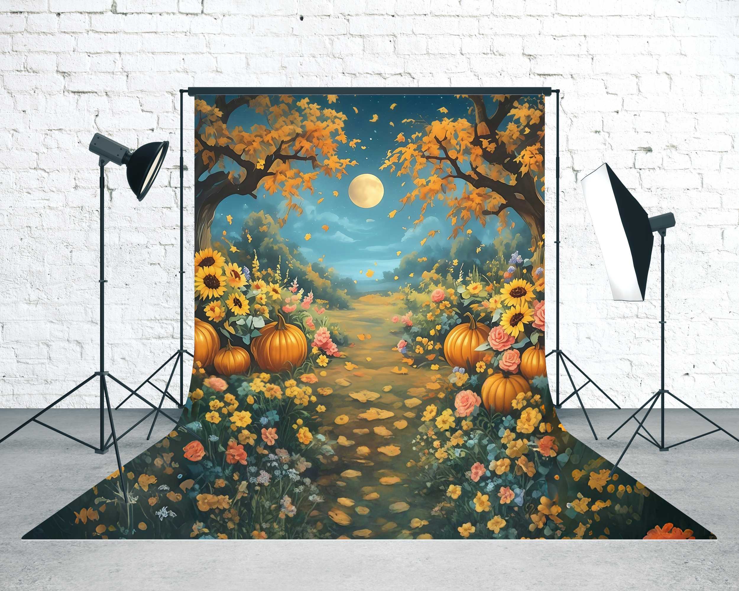 Herbstfoto-Fotohintergrund Moonlicht Kürbis Gartenweg Sweep-Fotohintergrund MRR8-97