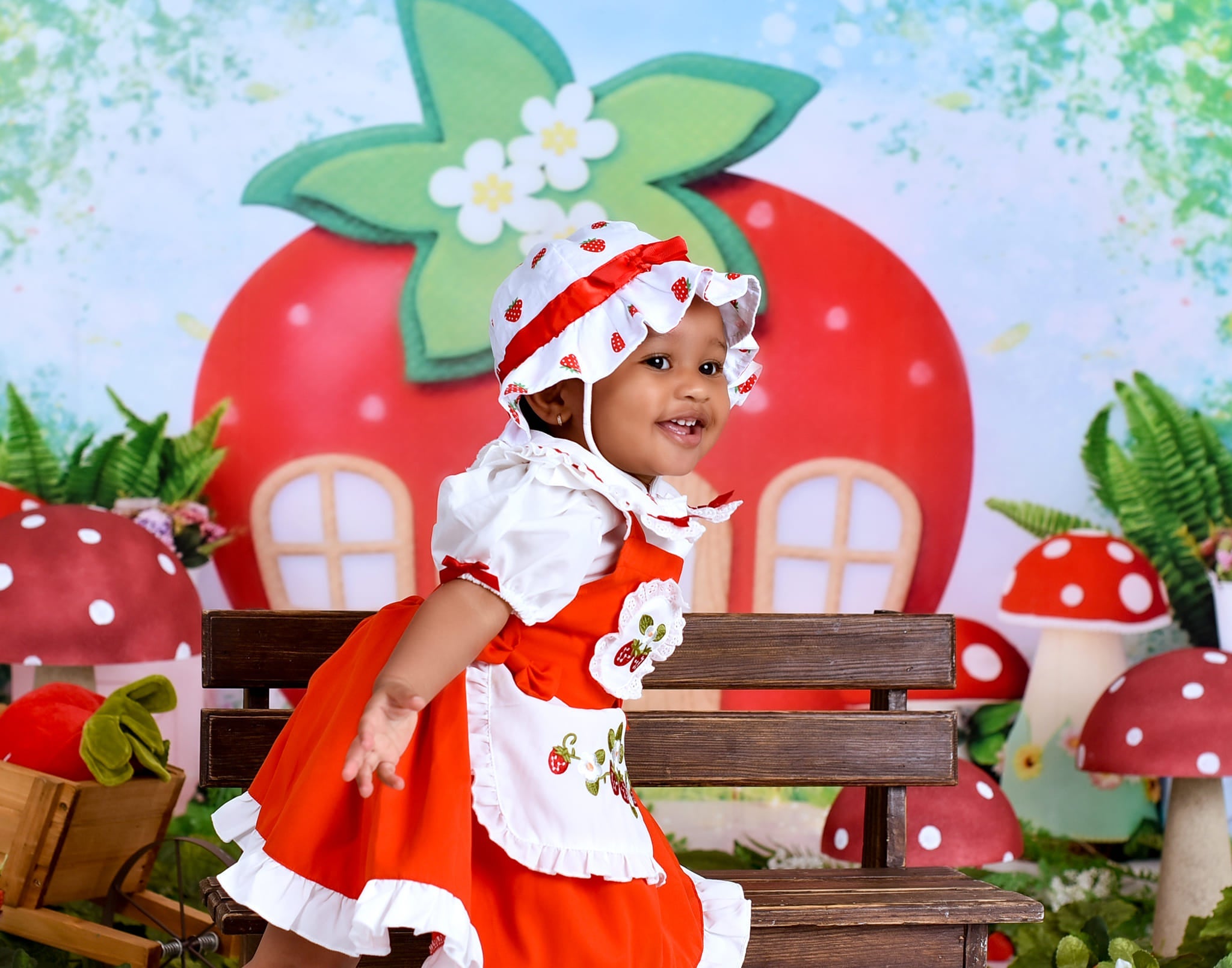 Kinder-Hintergründe Erdbeerhaus Feengarten Neugeborenen-Fotohintergrund MRR9-12