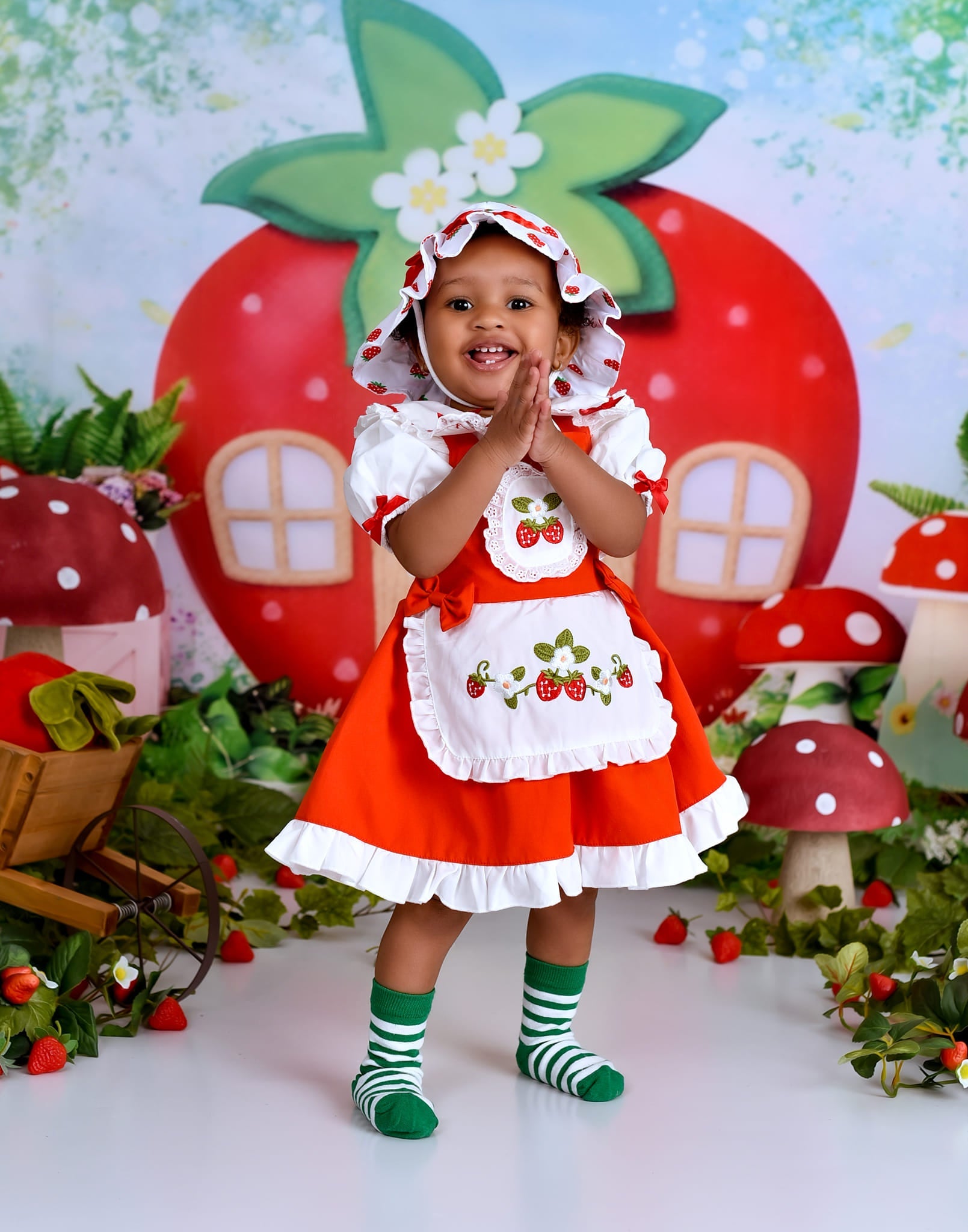 Kinder-Hintergründe Erdbeerhaus Feengarten Neugeborenen-Fotohintergrund MRR9-12