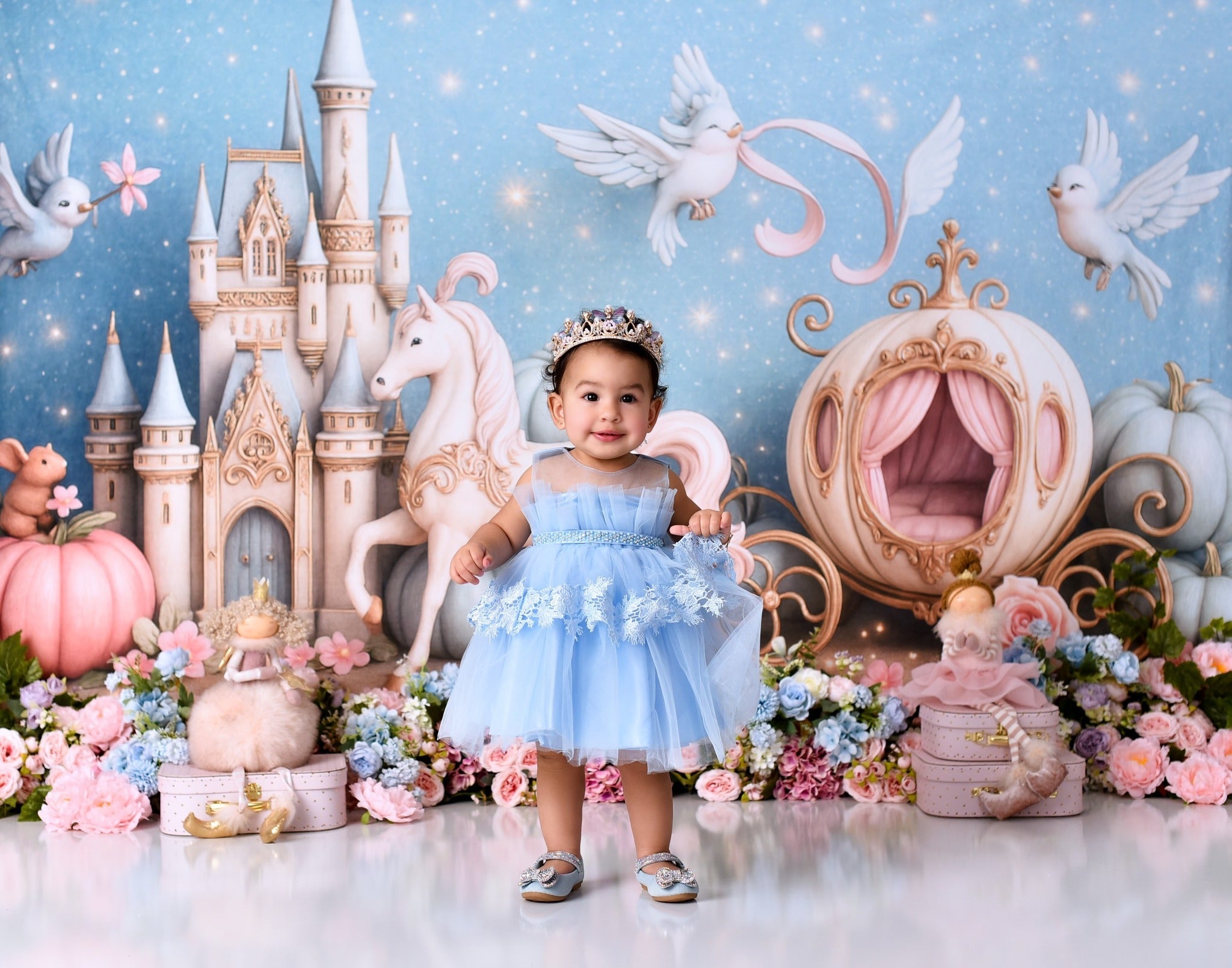 Schloss-Fotohintergrund Märchenschloss Kutsche Neugeborenen-Foto-Fotohintergrund MRR9-16
