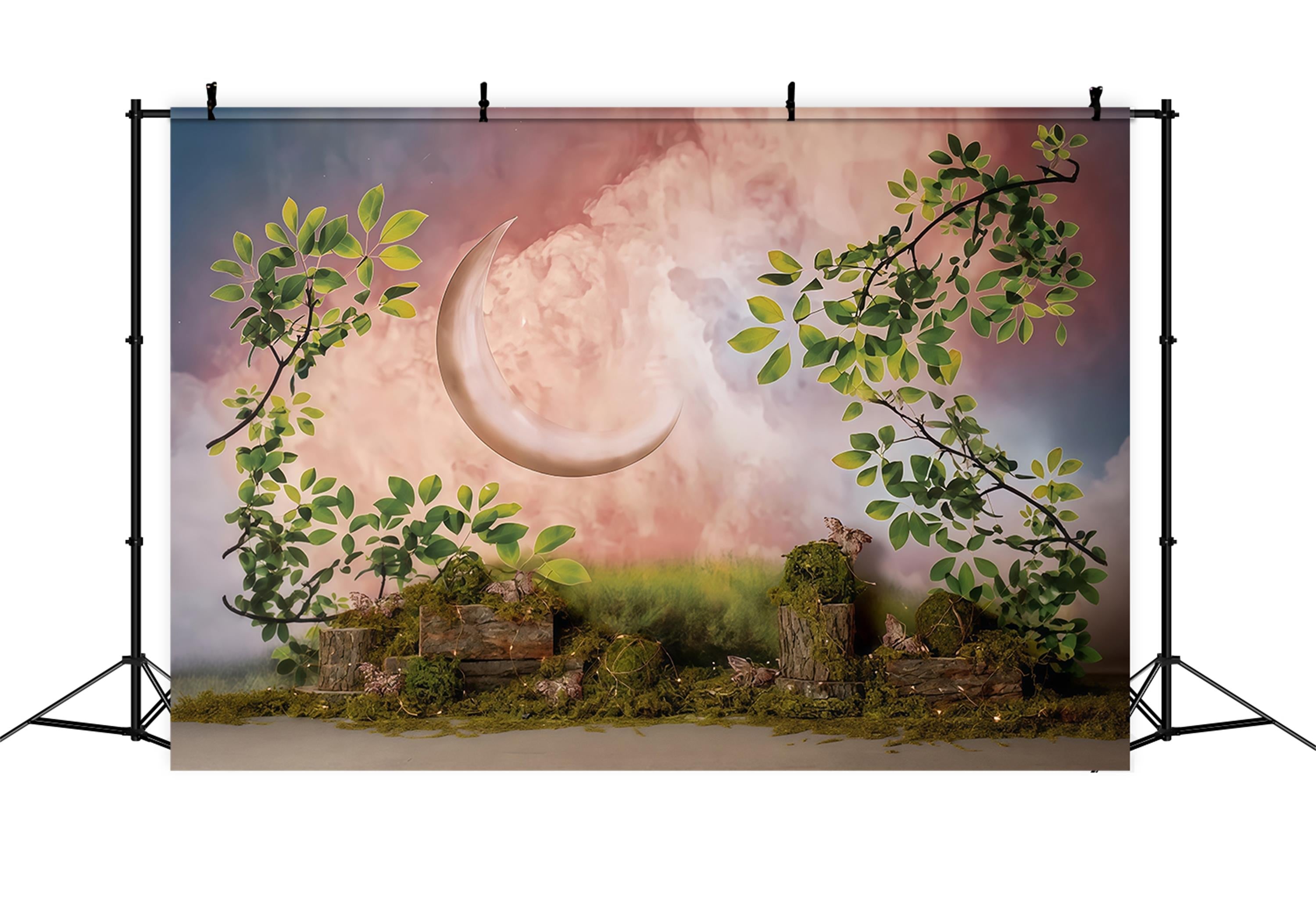 Kinderfotohintergrund Verzauberter Halbmondgarten Neugeborenenhintergrund MRR9-39