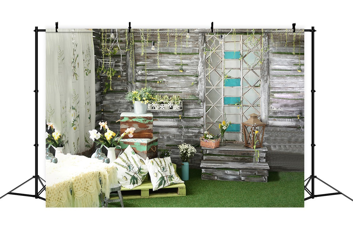 DBackdrop Spring Greenery Topfpflanze Blume Holzpaneel Wand Hintergrund RR3-39