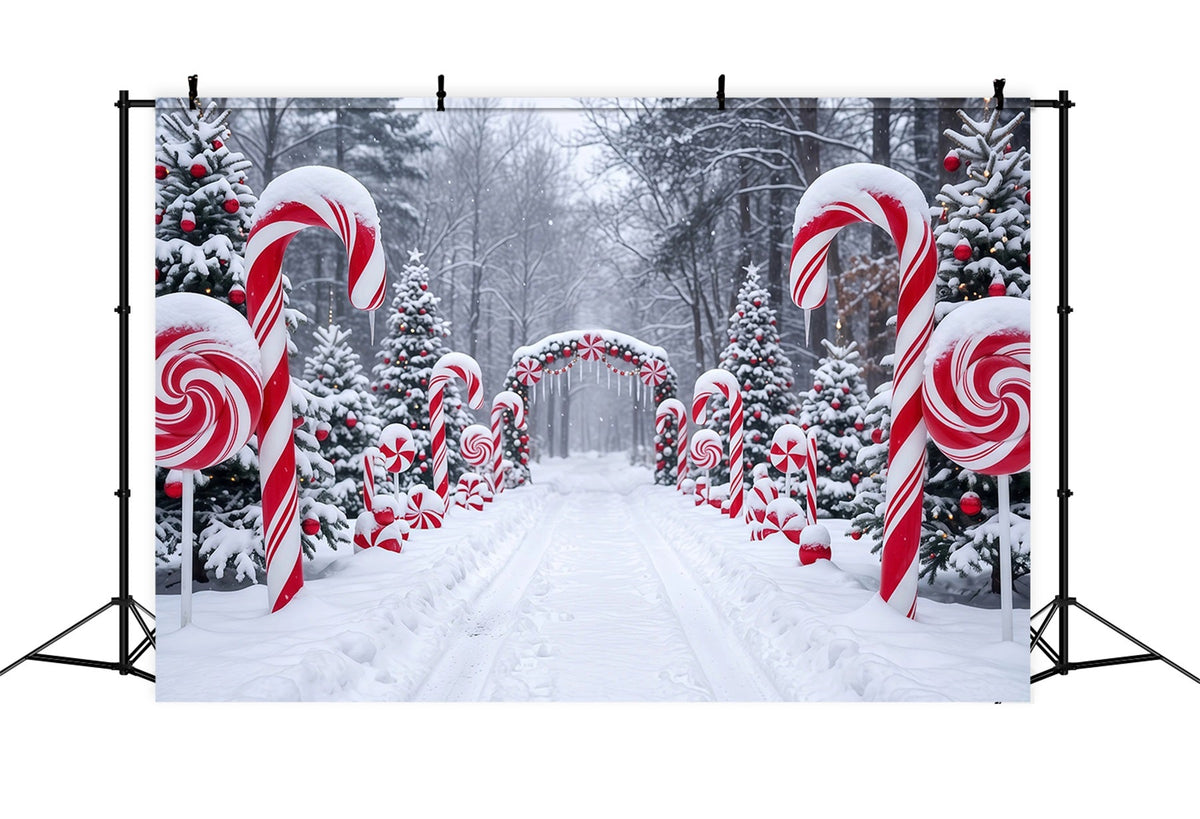 Weihnachtlicher Zuckerstangen-Hintergrund Verschneiter Waldweg RR610-126
