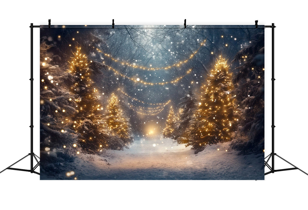 Weihnachtswald-Hintergrund Leuchtender Verschneiter Waldweg RR610-131