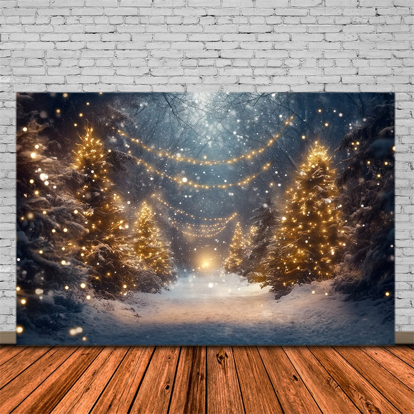 Weihnachtswald-Hintergrund Leuchtender Verschneiter Waldweg RR610-131