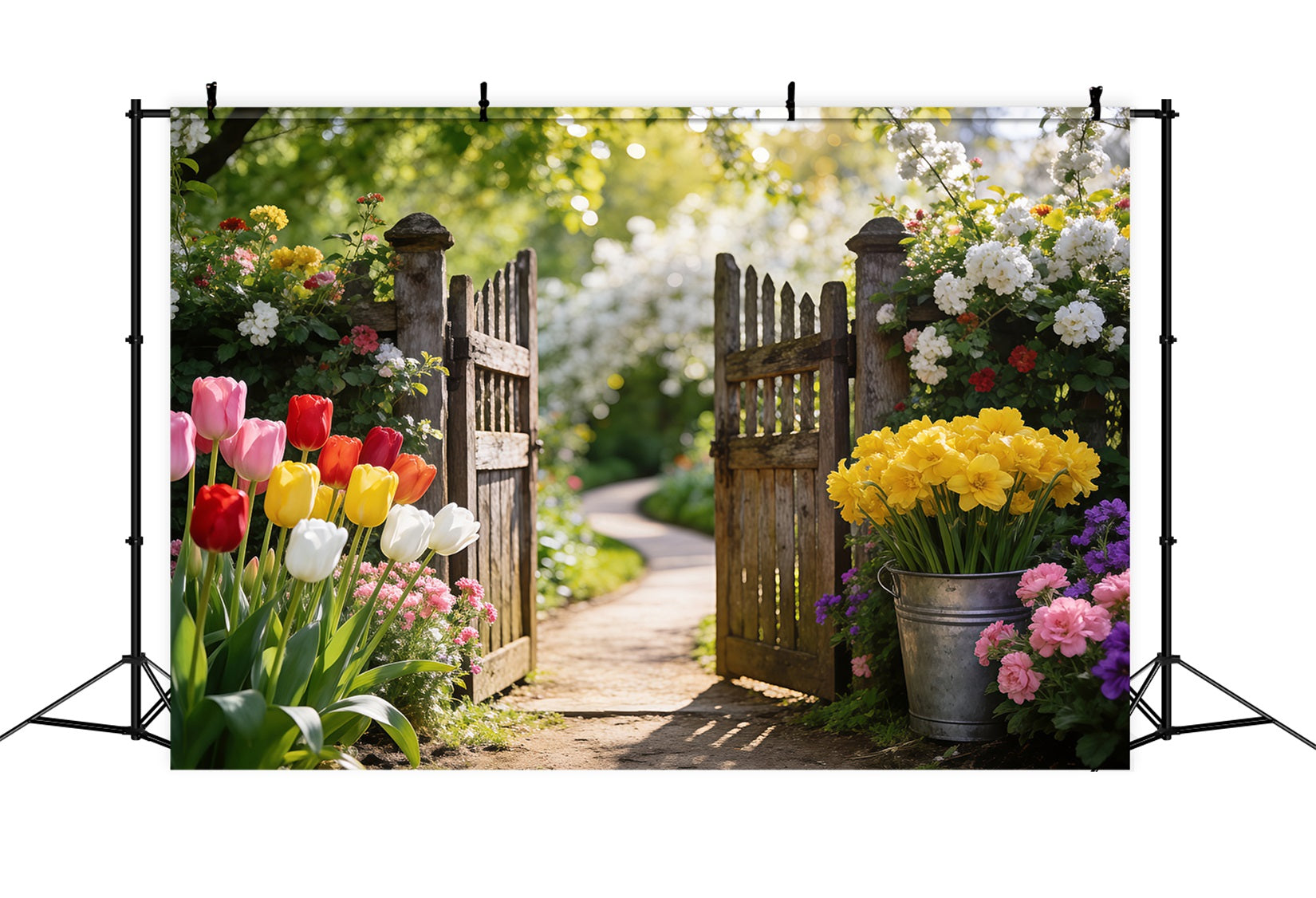 Narzissen-Hintergrund Tulpen-Garten Holztor Frühlings-Fotoshooting-Hintergrund RR62-29