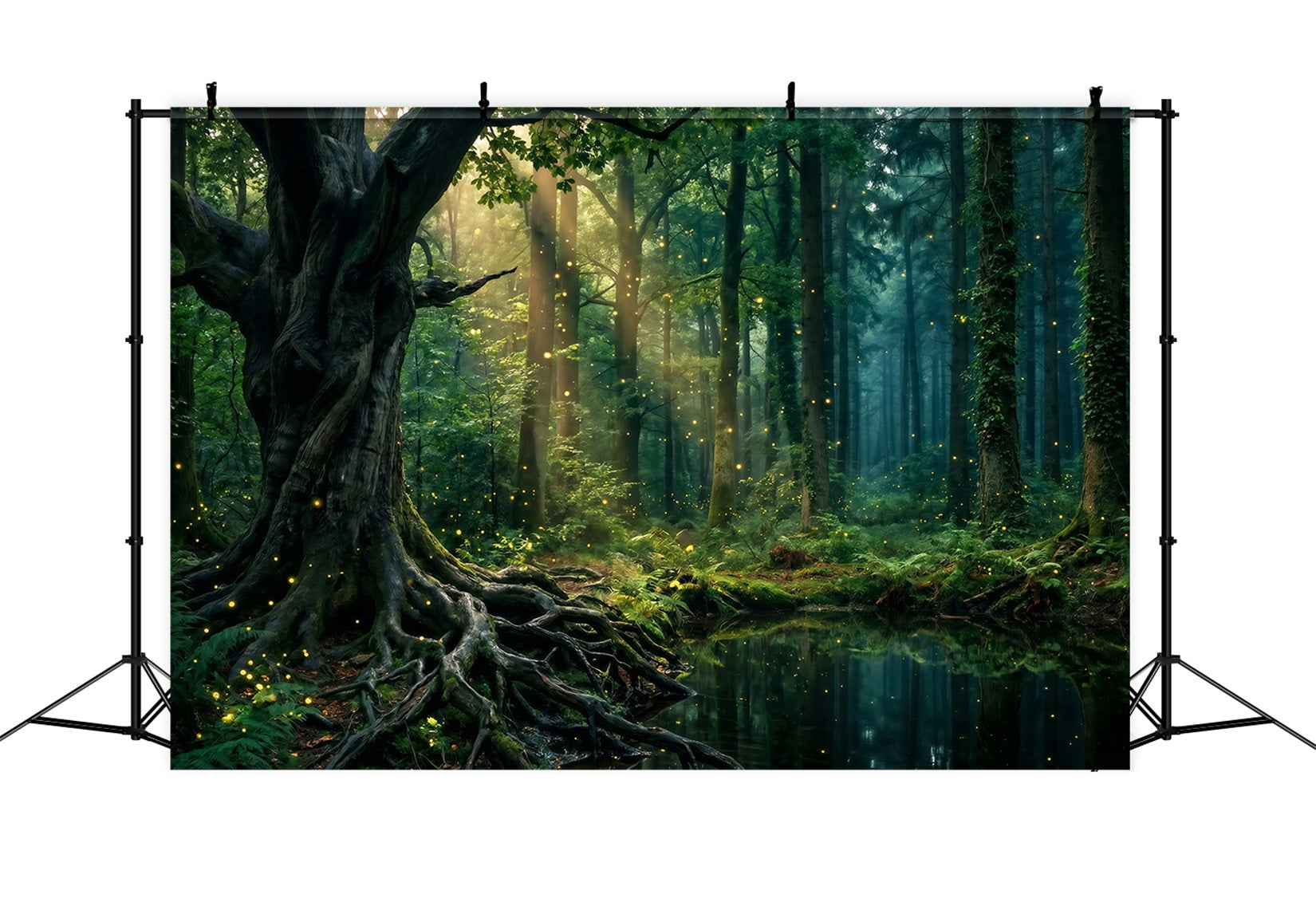 Regenwald-Hintergründe: Sonnendurchflutete Bäume, Teich, Glühen der Glühwürmchen, Wurzeln, Foto-Hintergrund Wald RR63-151