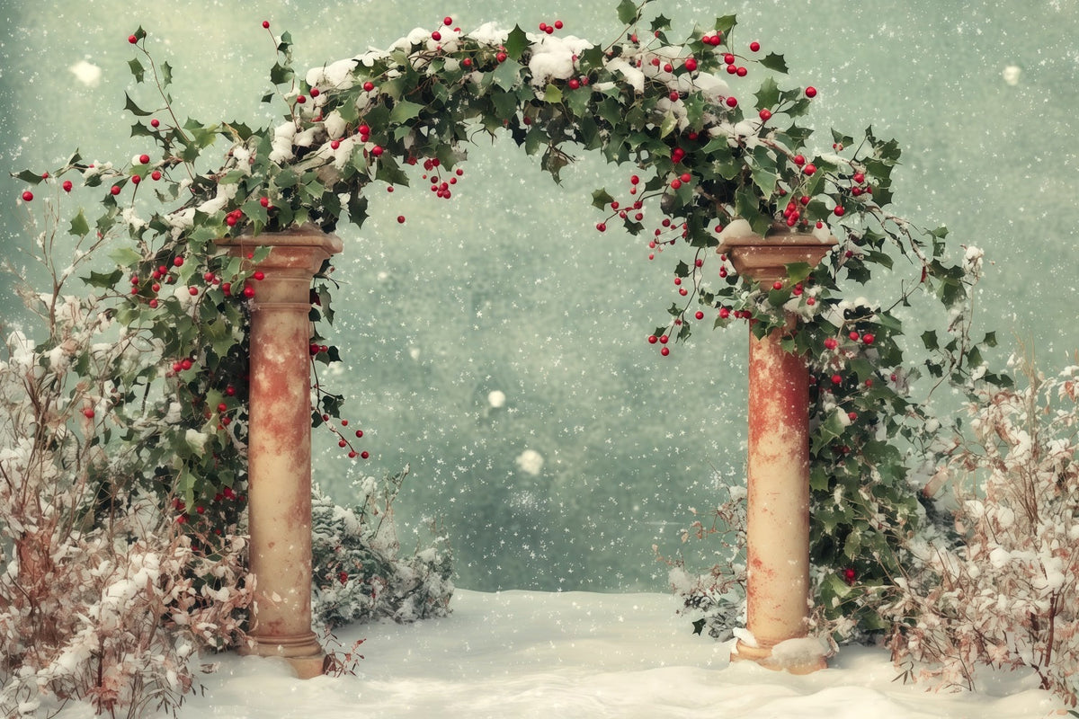 Verschneite Weihnachtskulisse Winterlicher Schnee-Stechpalmenbogen Weihnachtshintergrund RR68-65