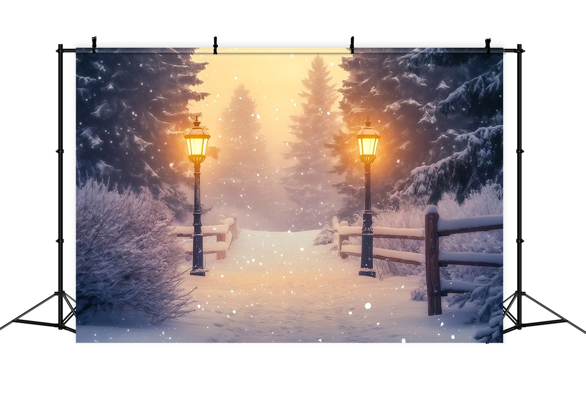 Verschneite Weihnachtskulisse Laternenpfad Im Wunderlandwald Weihnachts-Studiohintergründe RR68-85